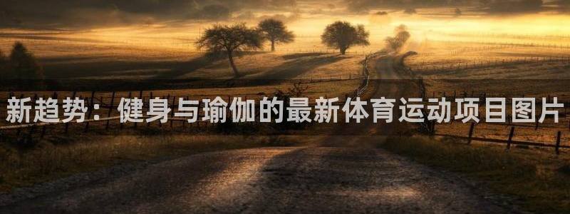 3377体育官方正版app娱乐代理怎么样:新趋势:健身与瑜伽