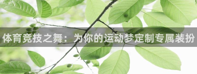 3377体育官网下载注册:体育竞技之舞:为你的运动梦定制专属