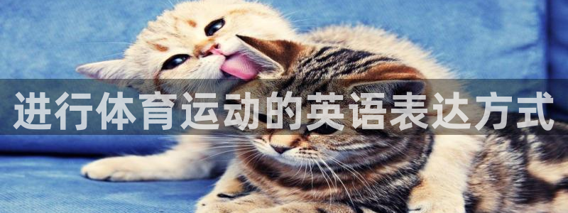 3377体育官网下载招商电话是多少啊:进行体育运动的英语表达
