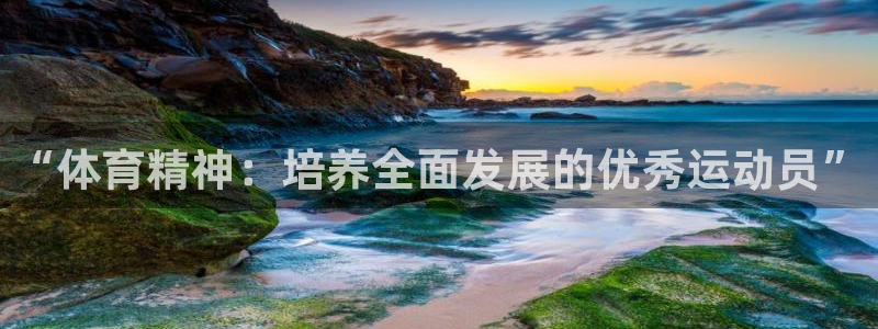 3377体育官网下载平台是正规平台吗:“体育精神:培养全面发