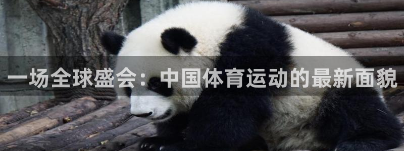 3377体育官网下载平台是正规平台吗:一场全球盛会:中国体育